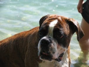 Baden im Brombachsee