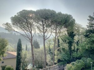 Blick vom Hotelzimmer auf Florenz