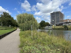 Neckar