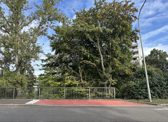 Radweg