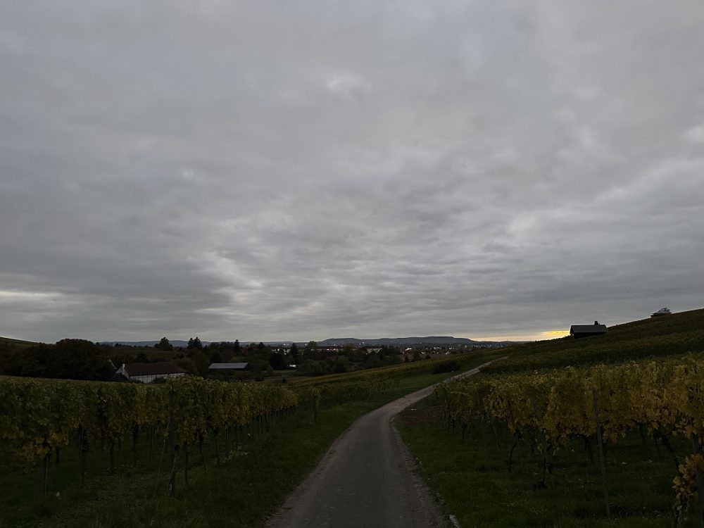 Stahlbühl