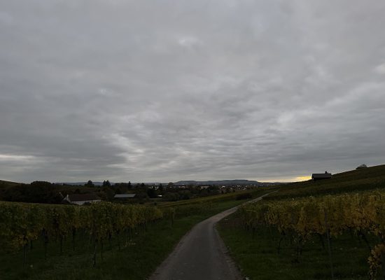 Stahlbühl