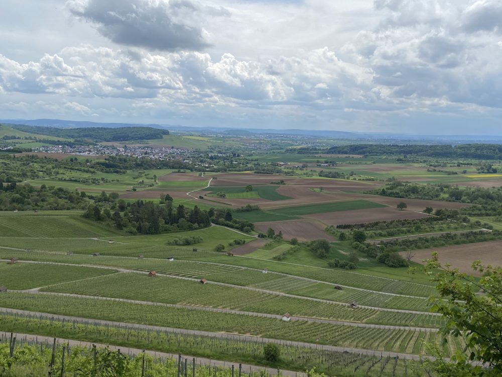 Landschaft