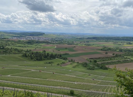 Landschaft